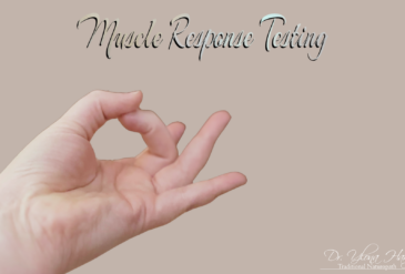 Introduction to Muscle Response Testing