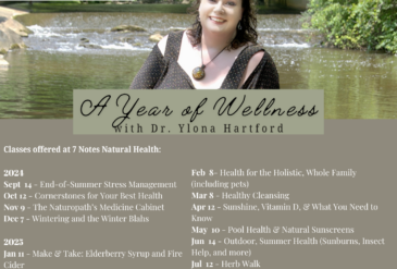 A Year of Wellness with Dr. Hartford